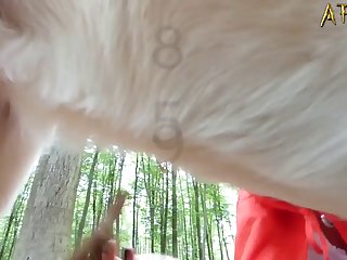 獣姦