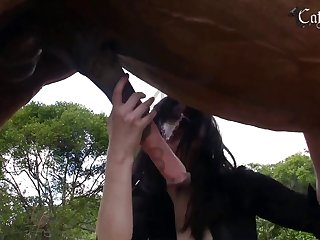 Homem Tranzando Com Cadela
