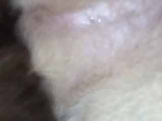 Porno Gratis Zoofilia