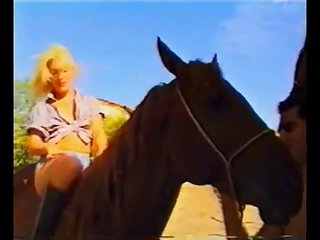 Beastyality Sex Videos