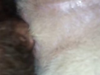 Porno Gratis Zoofilia
