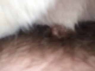 Porno Gratis Zoofilia