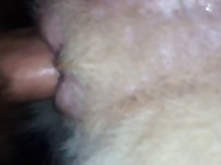 Porno Gratis Zoofilia