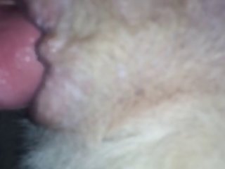 Porno Gratis Zoofilia