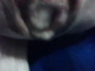 Baise Chienne
