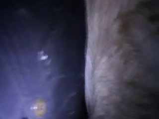 Horse And Girl Sex