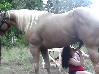 Free Beastuality Videos