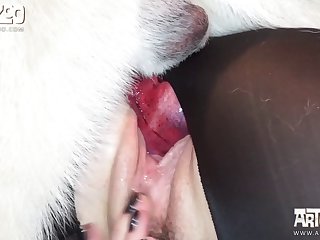 Girl And Animal Sexy Video