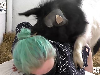 Porno De Animais