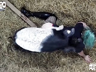 Porno De Animais