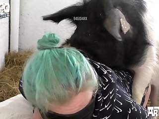 Porno De Animais