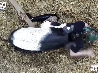 Porno De Animais