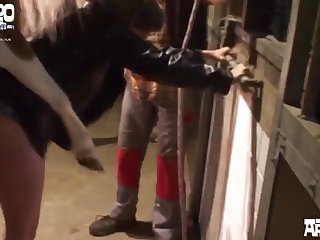Porno Con Un Cane