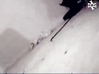Videos Sofilia