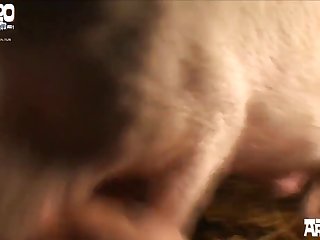 Dog Sex Movie