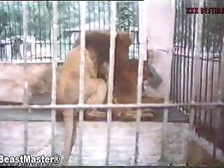 Zoophilia Gay Porn