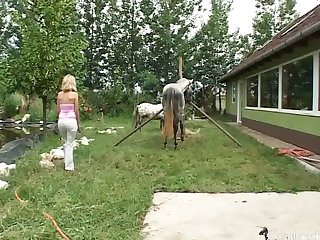 Köpeklerle Kadınların Pornosu