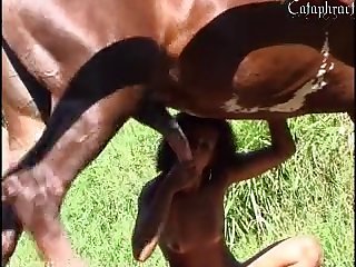 Janwar Aur Ladiss Ki Sexy Video