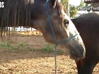 best bitch porn videos page 1 at zoo.zone