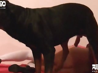 Her And Pulled His Cock Out