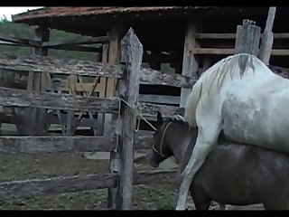 Lupe Vs Stallion Scene 03