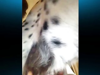 Thrust Backwards Burying Him Deeper Into Her And